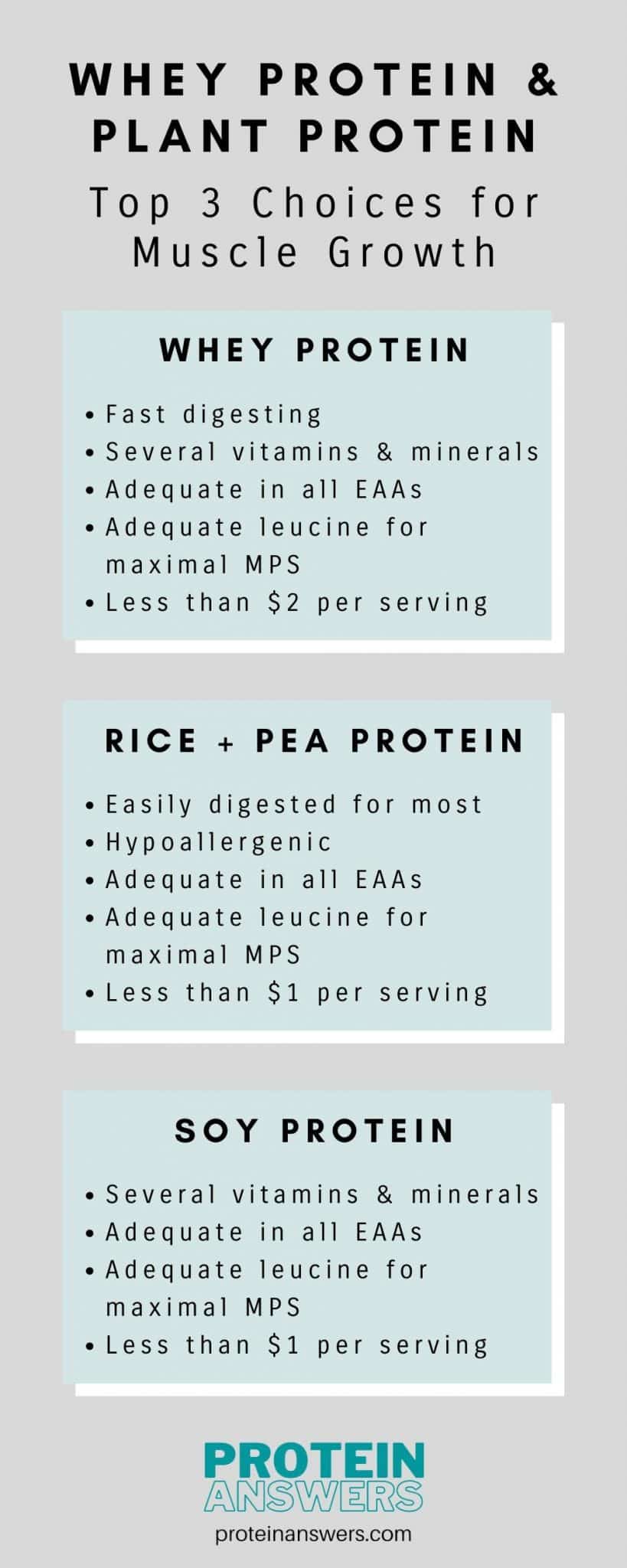 Whey Protein vs Plant Protein Muscle Growth & More